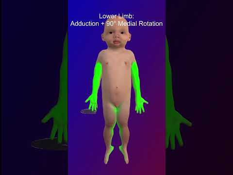 چرخش اندام ها جنین شناسی آموزش زیست شناسی