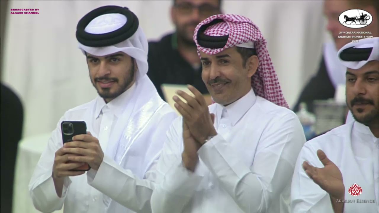 N 338 CYR GRACIOSA DE LA RUA Qatar National Arabian Horse Championship