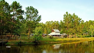 Parking passes at state parks increasing for first time in 16 years, DNR says Parking Passes
