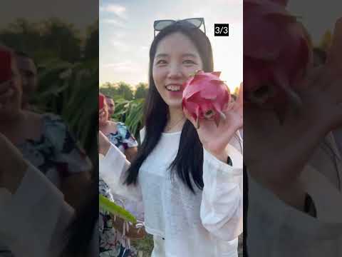 Korean Trying Farm Life in PH 🇰🇷🇵🇭 (<strong>Part</strong> 3) // Dasuri Choi #dasuritv #minivlog #<strong>philippines</strong>