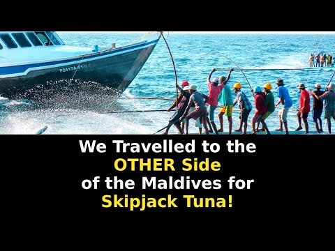 We Travelled to the OTHER Side of the Maldives for Skipjack Tuna!