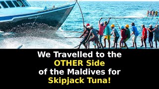 We Travelled to the OTHER Side of the Maldives for Skipjack Tuna!