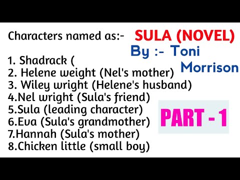 SULA By Toni Morrison | Hindi Summary Full Analysis | Sem -5 English Honour's (B.A) | by Hemant kr.