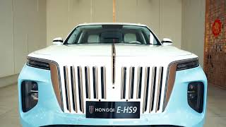 EHS9 Custom Made | Hongqi | UAE