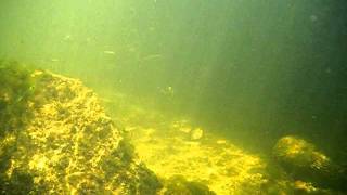 DSCF1452