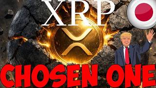 Ripple XRP OOPS! | DONALD TRUMP CONFRIMED BABACUGS/BG123 HOLY SNAP | JAPAN ISO20022 TOMORROW!