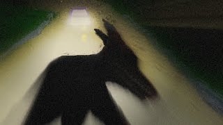 KY Moonshiners share Bigfoot stories; Dogman Missing persons case