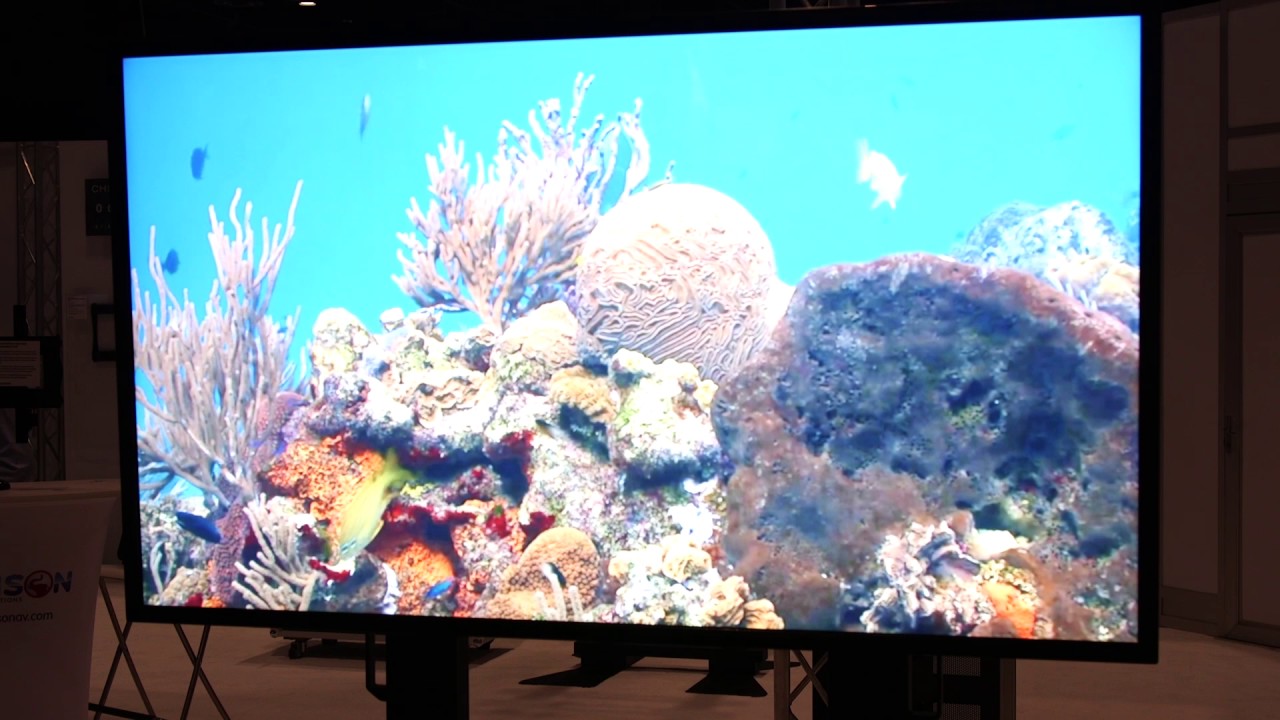 Crimson AV at InfoComm 2017: Booth Tour & WTV55 - YouTube commintegrator