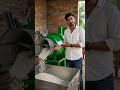 गाँव में शुरू करें ये बिजनेस | High Profit Machine Business 💸 #viralreels #machine #viralshorts