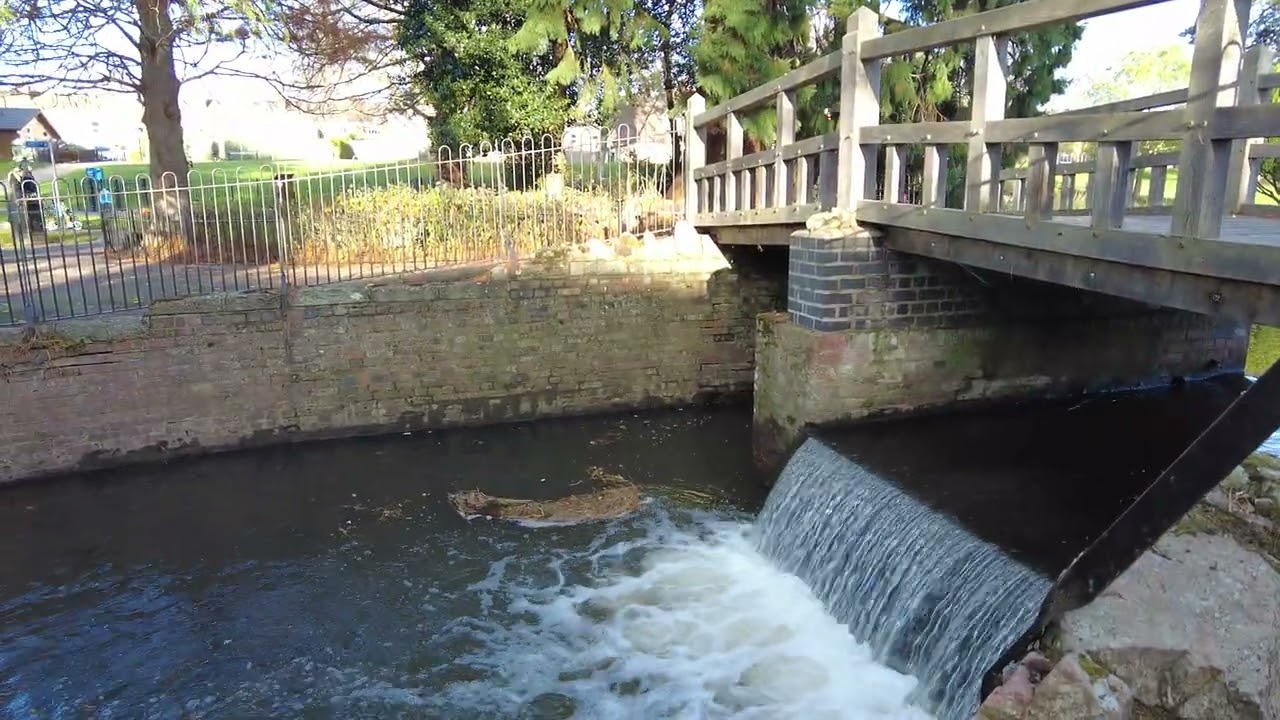 Walking Along Barbourne Brook, Gheluvelt Park, Worcester, Worcestershire, England 22nd November 2025