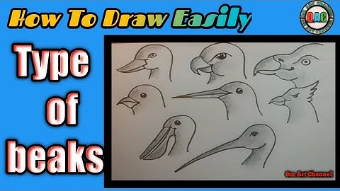 How to draw bird beaks | different types of beak drawing | draw different types of beaks