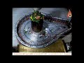 Shree Mahakaleshwar Mandir Live Stream