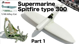 Famous Supermarine Spitfire prototype - 1/48 Alley Cat Models - Full scale model kit build Wealth