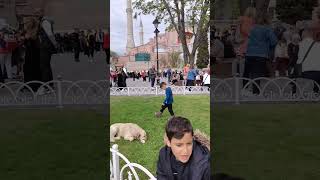 Zaman Kalmadı Resimi