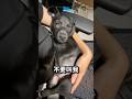 我不是在睡覺就是在睡覺的路上