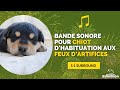 Habituation aux bruits de pétards et feux d'artifices pour CHIOT - SURROUND 5.1