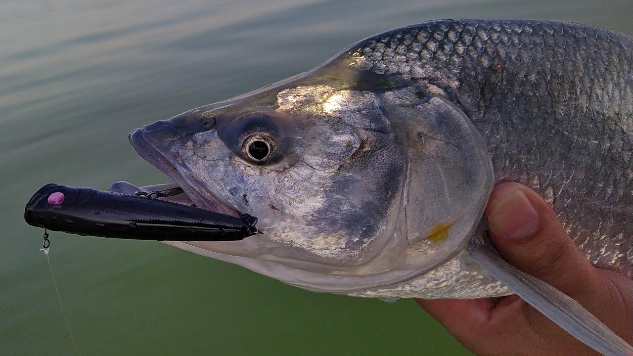 Popperes balin harmadik rávágásra