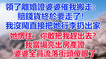 領了離婚證婆婆催我搬走：賠錢貨終於要走了！我沒鬧直接把她行李扔出家，她愣住：你敢把我趕出去？我當場亮出房產證，婆婆全員流落街頭傻眼了