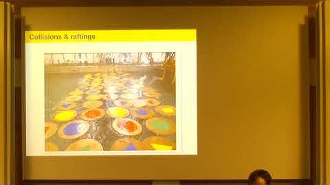 SIP | Assoc. Prof. Luke Bennetts | Wave-induced collisions of thin floating disks