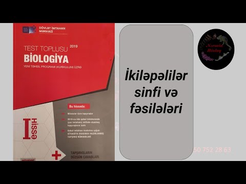 Biologiya, Dim test toplusu, İkiləpəlilər sinfi və fəsilələri