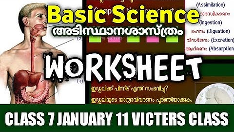 Victers channel class 7 Basic Science worksheet|malayalam medium and english medium|class 7 victers