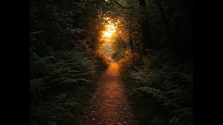 The Path Not Chosen - Self Reflective, Mind Relaxing, Healing Journey