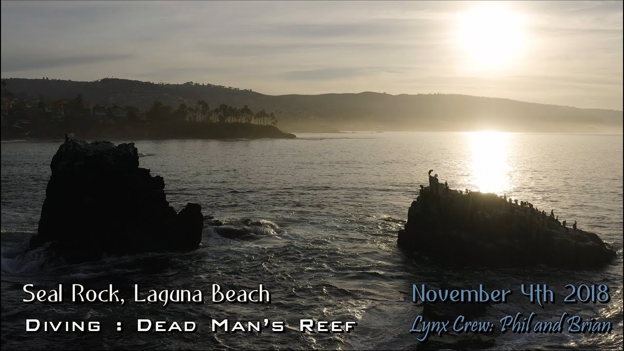 Seal Rock and Dead Man's Reef Dive