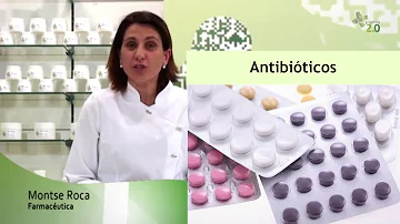 ¿Cuántas veces al día debe tomar antibióticos?