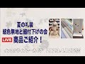 【夏の礼装 絽色無地と絽付下げの会 ご紹介】　インスタライブアーカイブ　2023/4/12  最高級　#洗える着物　#きもの英 ＃絽