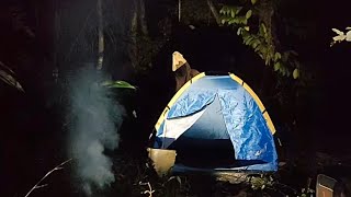 Camping at the forest edge garden