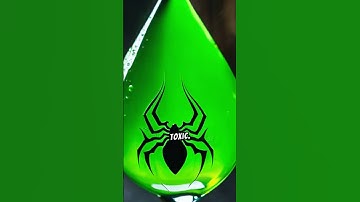Sydney Funnel-Web Spider: One of the World