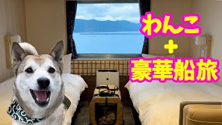 【わんこと船旅⚓️】さんふらわあ ウィズペットルームで超快適