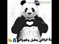 حاله واتس حمو بيكاا خف تعوم