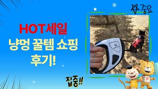 고양이강아지 꿀템 대방출! 캔/사료/간식 쇼핑 후기!
