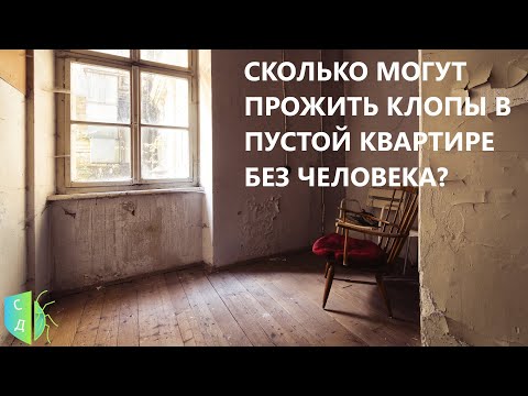 Сколько живут клопы в пустой квартире без человека