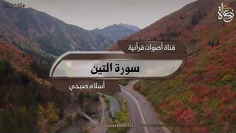 سورة التين - إسلام صبحي (surah alteen - quran)