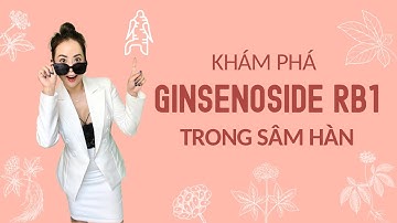 Tác Dụng Hoạt Chất Ginsenoside Rb1 Trong Nhân Sâm Hàn Quốc - Thi Đặng - ANaNa Nhân Sâm Korea