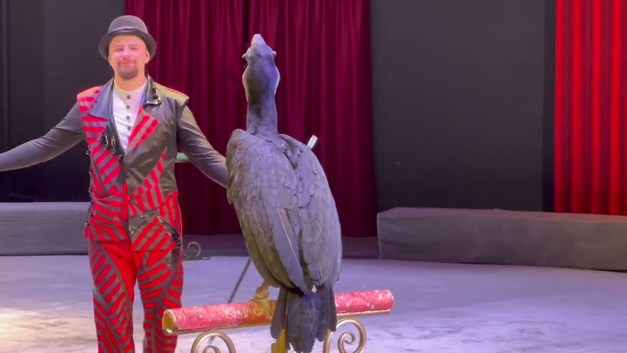 Уголок дедушки Дурова | 2024 лето