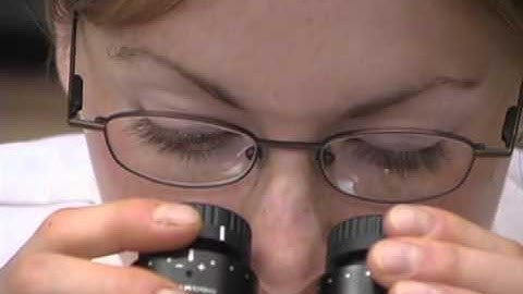 Part 3: How to Use Stereo and Compound Microscopes