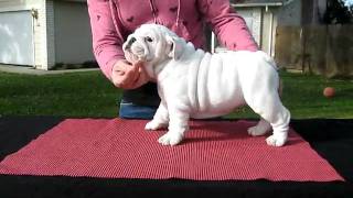 molly stacking.AVI
