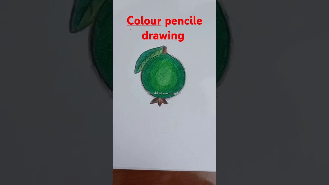 Guava drawing 
