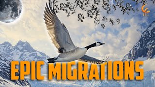 The Epic Migrations of Birds
