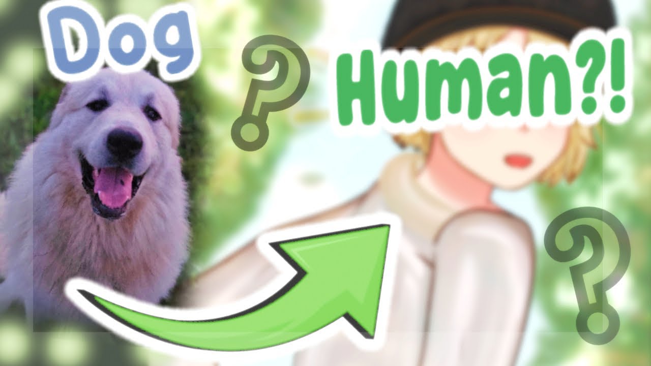 Turning THIS Pet into a Human Boy?!! Art Challenge!! 🐶