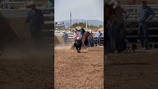 #breakawayroping #candyman #fypシ #rodeo #equibossperformance #horse #baileydouglas