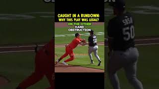 Celebrity No Interference? Why the UMPIRE Got It RIGHT Profile
