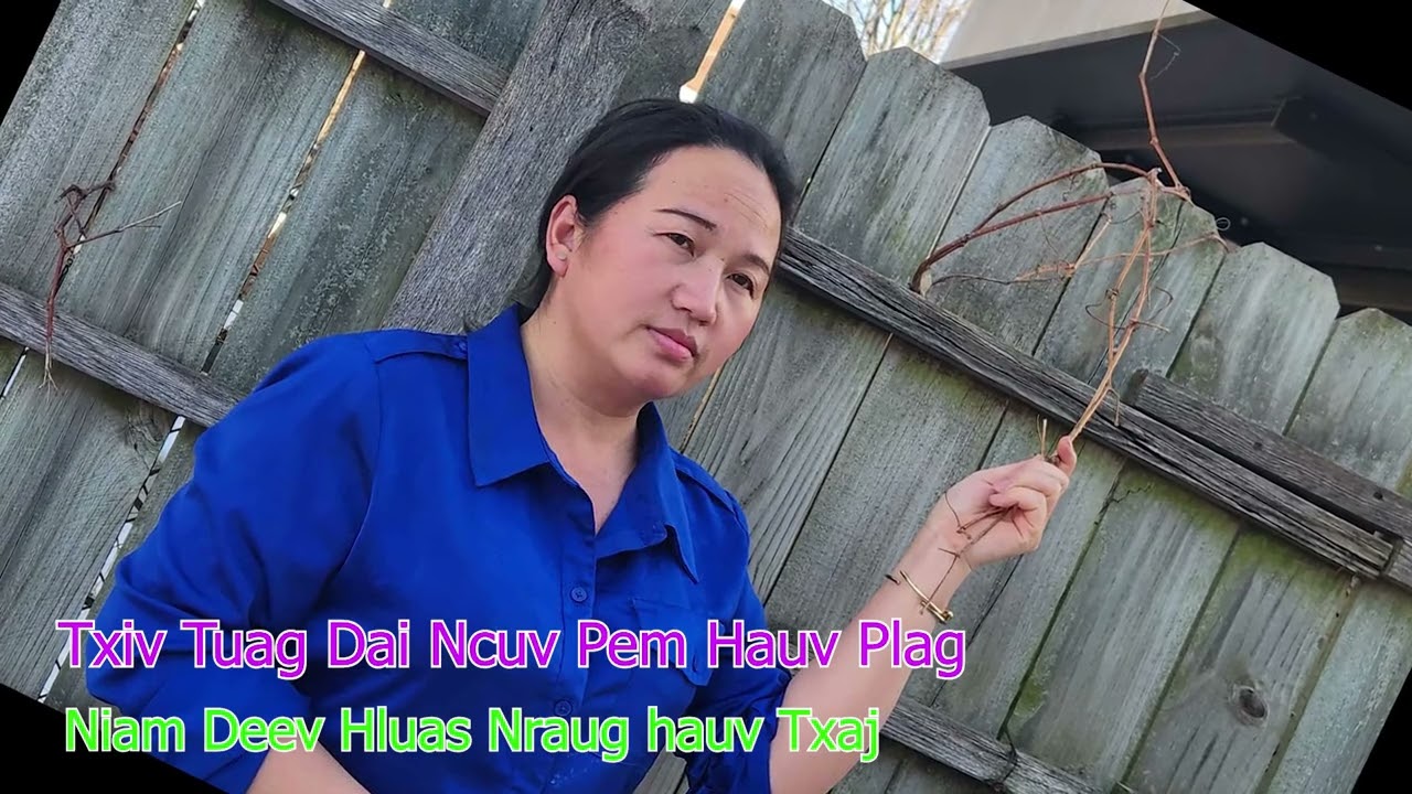 Txiv Tuag Dai Ncuv Pem Hauv Plag Niam Deev Hluas Nraug Hauv Txaj 2/12/2026.