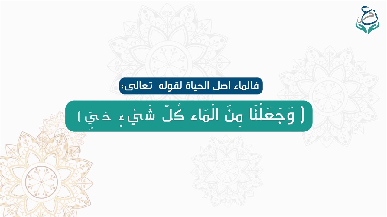 فيديو توعوي وتثقيفي عن أهمية ترشيد استهلاك المياه