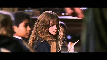 Is Minerva a Gryffindor?