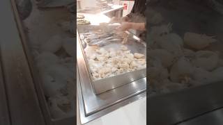 Makrelen Calamari Candida-Diät