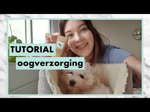 Video: Hoe De Ogen Bij Honden Te Behandelen?